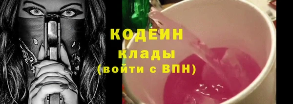 PSILOCYBIN Корсаков