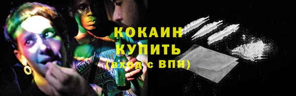 PSILOCYBIN Корсаков
