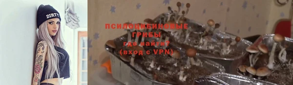 ALPHA-PVP Коряжма