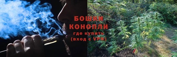 PSILOCYBIN Корсаков