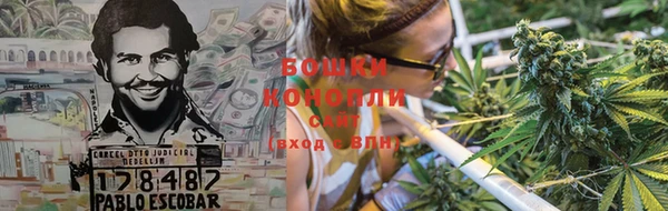 PSILOCYBIN Корсаков